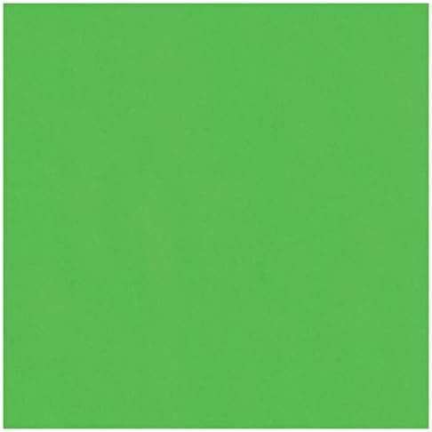 Вечнозеленая Картонена хартия - 12 x 12 см Премиум-клас, мат, 100 паунда. Корица - 25 Листа от склада картон